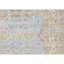 Wool Oriental Area Rug in Ivory