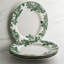 Arbor Premium Porcelain Dinner Plate