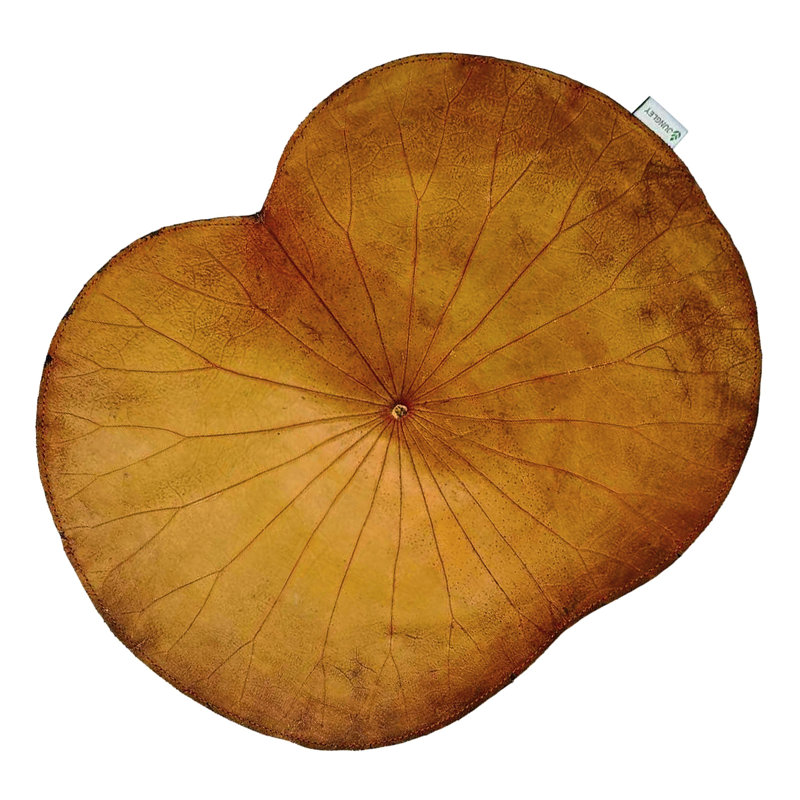 Leather No Pattern Novelty Placemat, Yellow