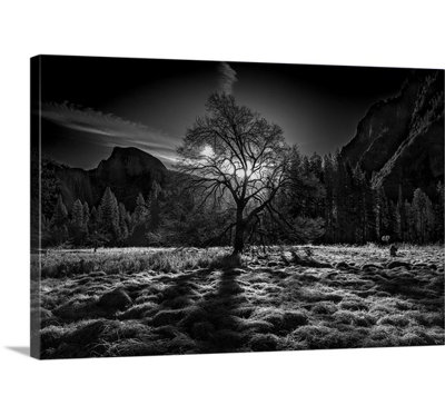 The Winter Spirit by Simon Chenglu Photographic Print on Canvas
