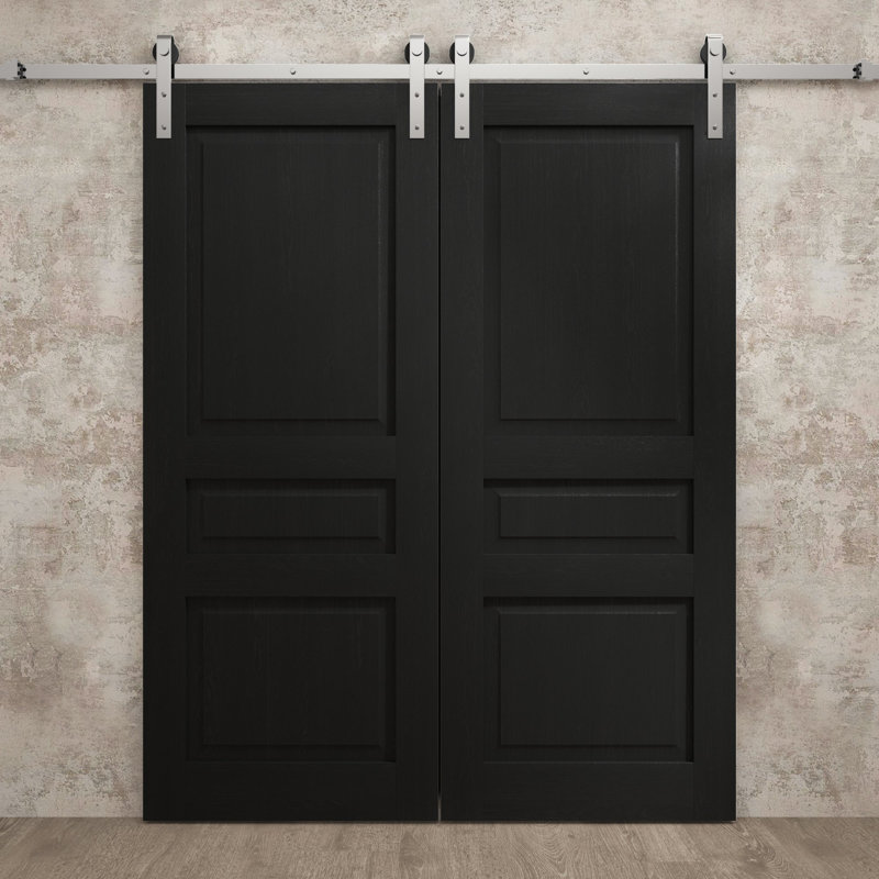 Porte de grange double moderne | Ego 5012 | Ensemble de rail argenté | Portes intérieures solides, 72 po x 96 po