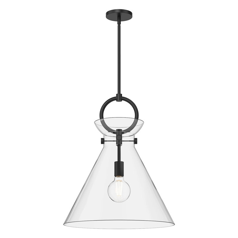 Luminaire suspendu conique à 1 lumière Tiney, Noir mat / transparent, H 21,75 po x l 18 po x P 18 po