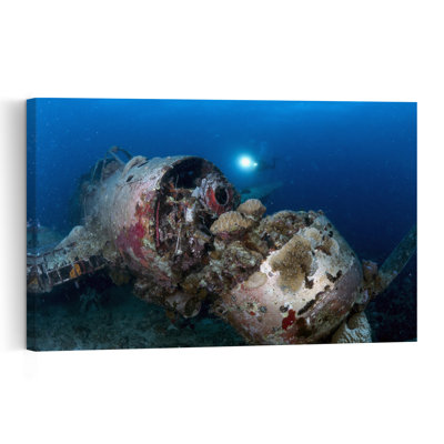 Sunken Airplane Dive Contemporary Ocean Wall Art Print