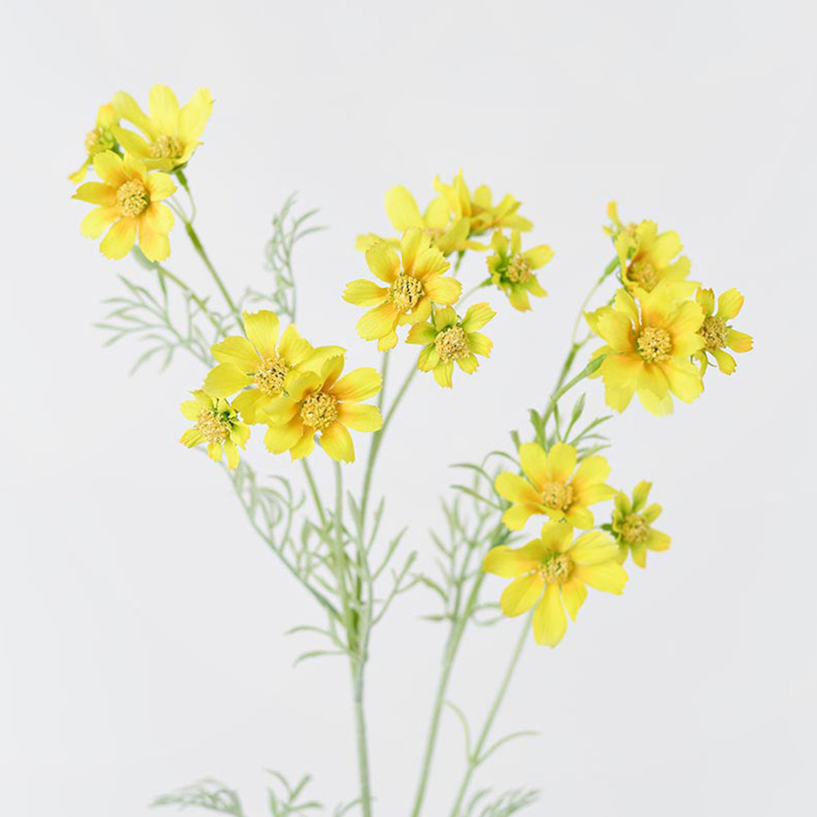 Audet Cornflower Stems, Yellow, 30.81" x 4"