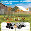 Chicken Coop-660104137