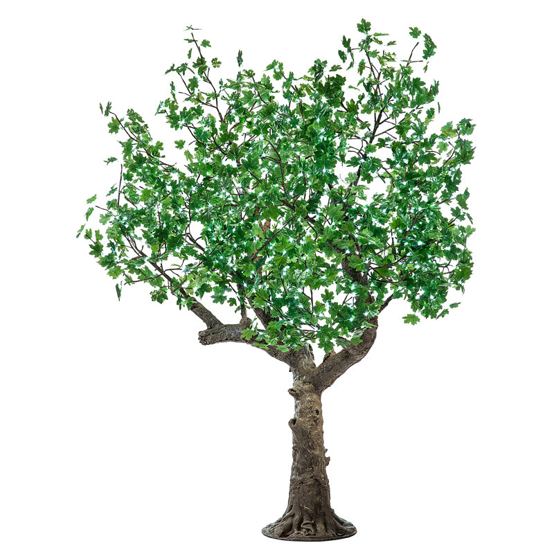 Érable, feuilles et branches éclairées, Vert