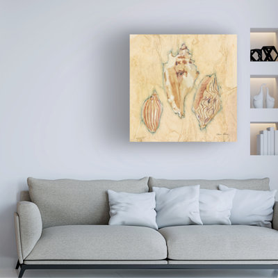 Cheri Blum Shells I Canvas Art