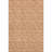 Premium Machine Washable Cerrito AMF514 Salmon Rug-103832444
