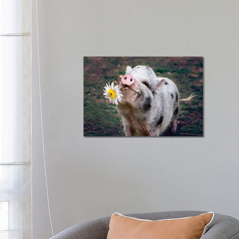 Miss Daisy by Karen Burke - Wrapped Canvas Print, 45.72cm H x 66.04cm W x 1.91cm D