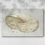 Neutre coquille Fresco I -Galerie enveloppée Cavas-1251031913