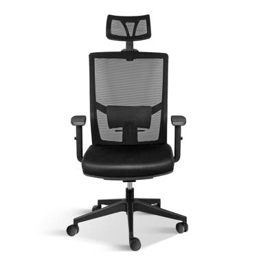 Shekhar Mesh Task Chair