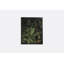 Forest Still Life Print by Sarah Bird-79753164