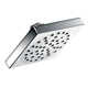 90 Degree 2.5 GPM Shower Head with Immersion