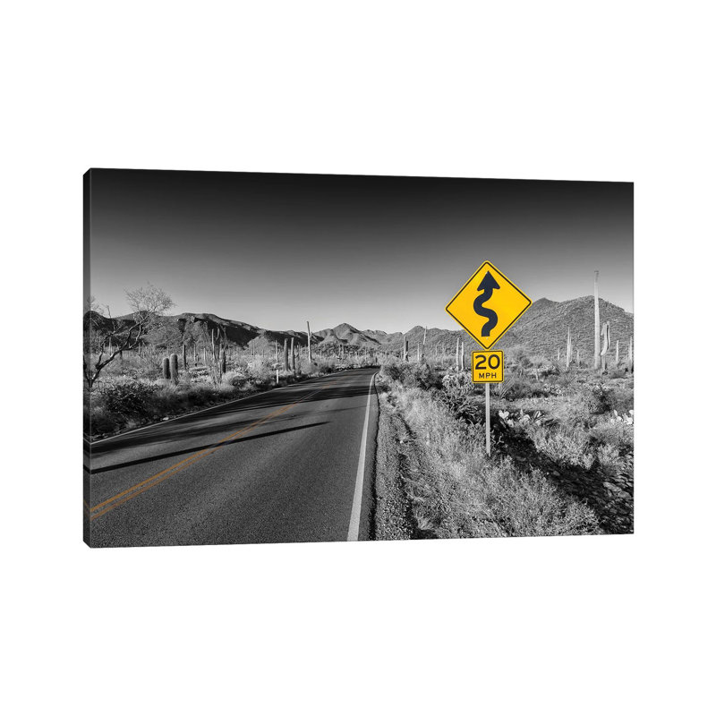 Saguaro National Park Bajada Loop Drive by Melanie Viola - Wrapped Canvas Print, 20.32 cm H x 30.48 cm W