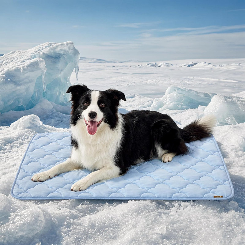 Tapis de refroidissement pour chien pour chiens très grands, Q-Max 0,5 Mince respirant