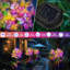 Lumières de jardin solaires Hunayda, lumières à piquets solaires décoratives extérieures pour allée, décoration de jardin, art de jardin, cadeau de fête des mères (ensemble de 2)