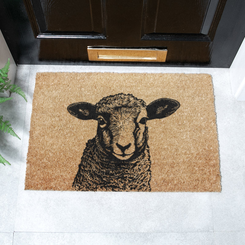 Non-Slip Outdoor Doormat, 40cm W x 60cm L