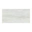 Carrelage mural et de sol en porcelaine polie 24 po x 48 po Marnix-70258010