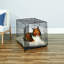 Cage pour chien New World-1760836757