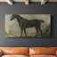 Vintage Animal Series-LII- Gallery Wrapped Canvas -Ready to Hang-1590969651
