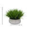 Herbe à feuillage artificiel 9 po dans un vase décoratif-542148618