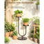 Plant Stand