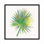 « tropical fun palms iiii », impression sur toile-27895275-72483814-72483815