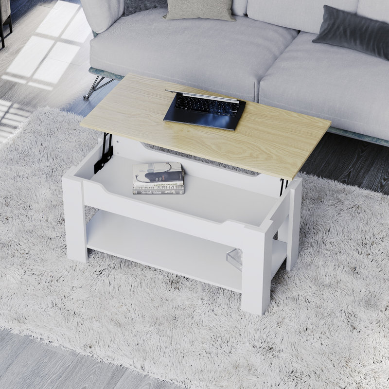 Anavictoria Lift Top Coffee Table with Storage, White, Oak