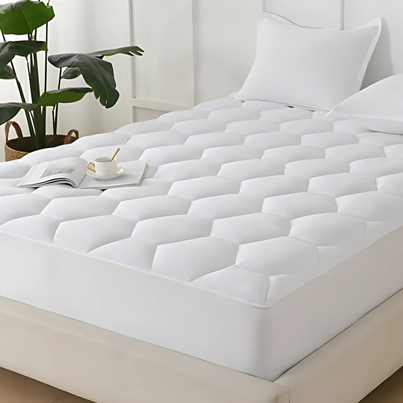 Fitted Mattress Protector Case Pack, Double (4'6)