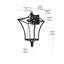 Belgrade Outdoor Wall sconce in Black-911110906