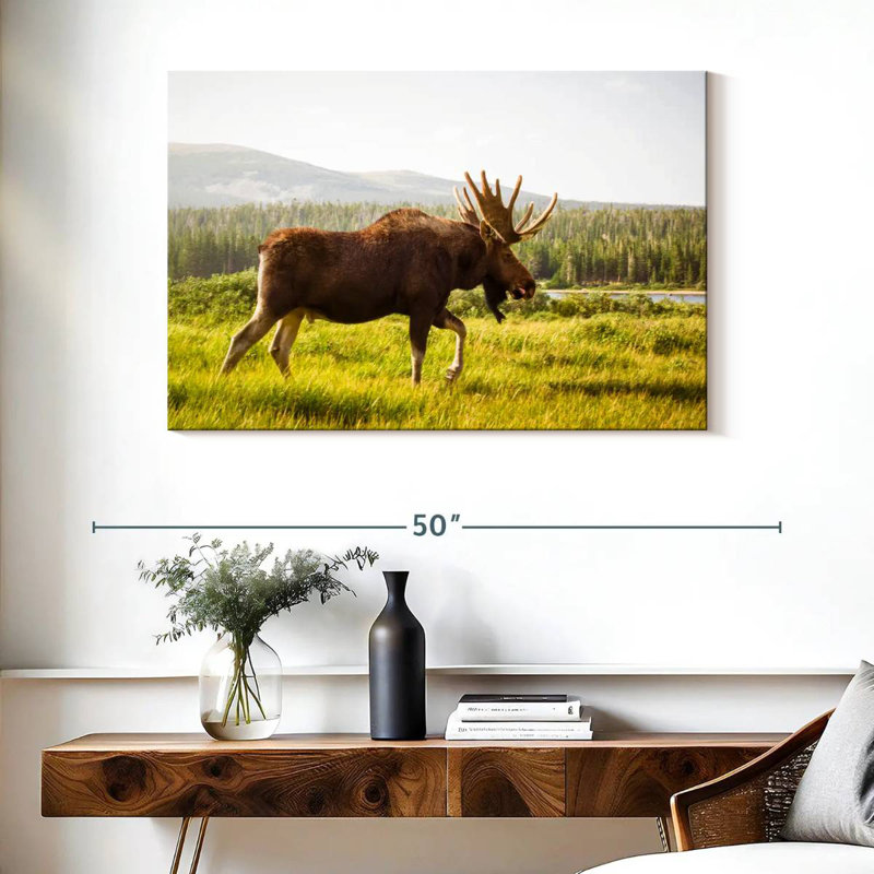 Crowle Grazing Wild Moose