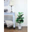 Figuier Ragland-886447017
