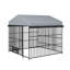 Grand chenil pour chien