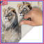 Tapis de bain Deux lions mâles-807343221