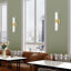 Cailum 2 Light Frosted Dimmable Vanity Light-2124124861