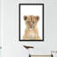 Bébé lionceau - reproduction d'art-53045722-53045716-53045714