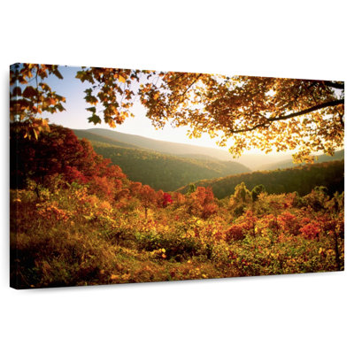 Alvord Autumn In Shenandoah