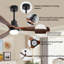 Binisha Ceiling Fan with LED Lights