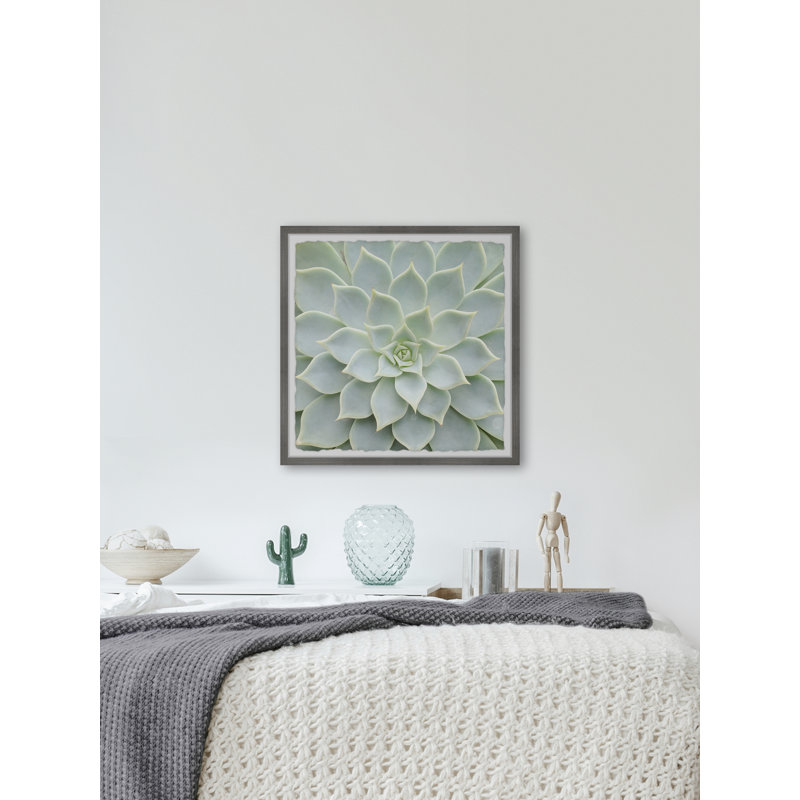 Seamless Patterns - Single Picture Frame Painting, 41 cm H x 41 cm W