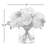 Peonies Floral Arrangement in Vase