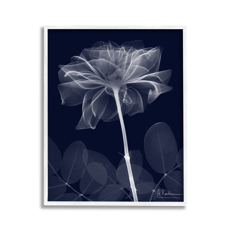 Fleur foncée, giclée, art par Albert Koetsier, Giclée encadrée blanc bord de mer, H 14 po x l 11 po