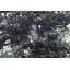 Tapis noir / vert / blanc noué à la main de conception unique 6 pi x 9 pi 1 po New Age