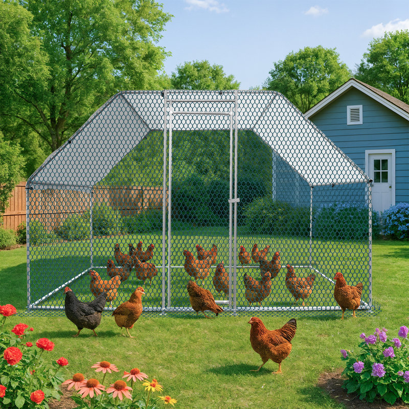 Grand poulailler en métal avec housse de pluie,  H 75,6 po x l 120 po x P 78,7 po
