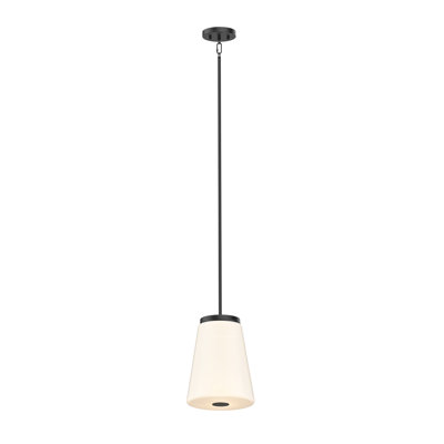 Parid 1 - Light Cone Pendant