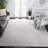 Calidia Oriental Light Gray/Cream Area Rug-341512562