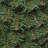 4 Piece Evergreen Assortment with Decorative Base and Clear LED Lights