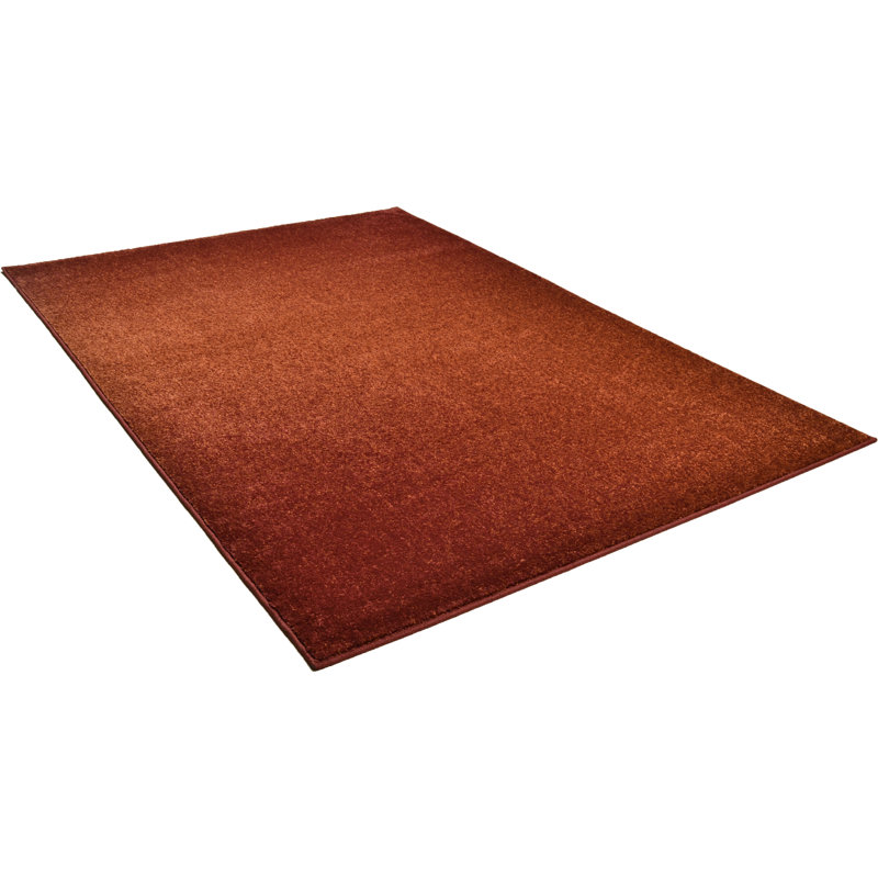 Amiyla Solid Colour Area Rug, Rectangular 67 x 120cm