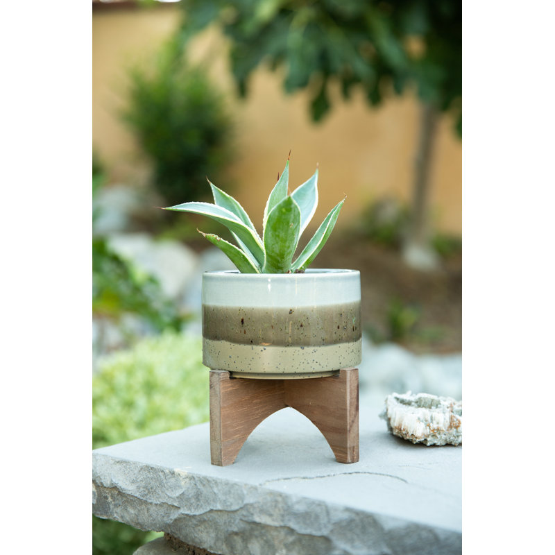 Waycross Ceramic Pot Planter