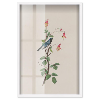 Art botanique Woodland Gem Shadowbox par Art Remedy
