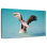 Pélican avec ailes déployées